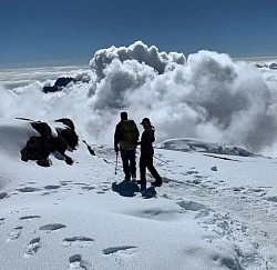 Senior Gibee The Guide Kilimanjaro