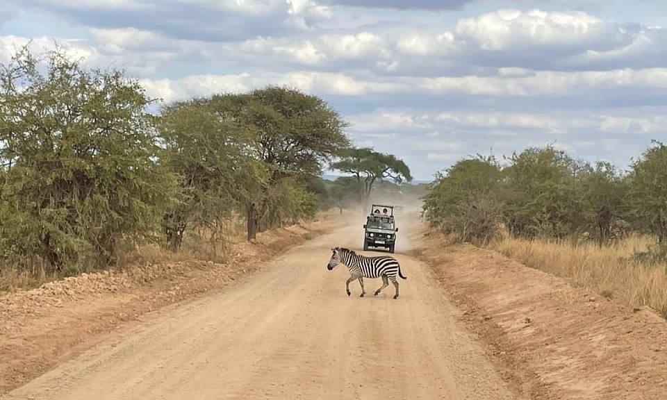 Senior Gibee The Guide Kilimanjaro (safari's)